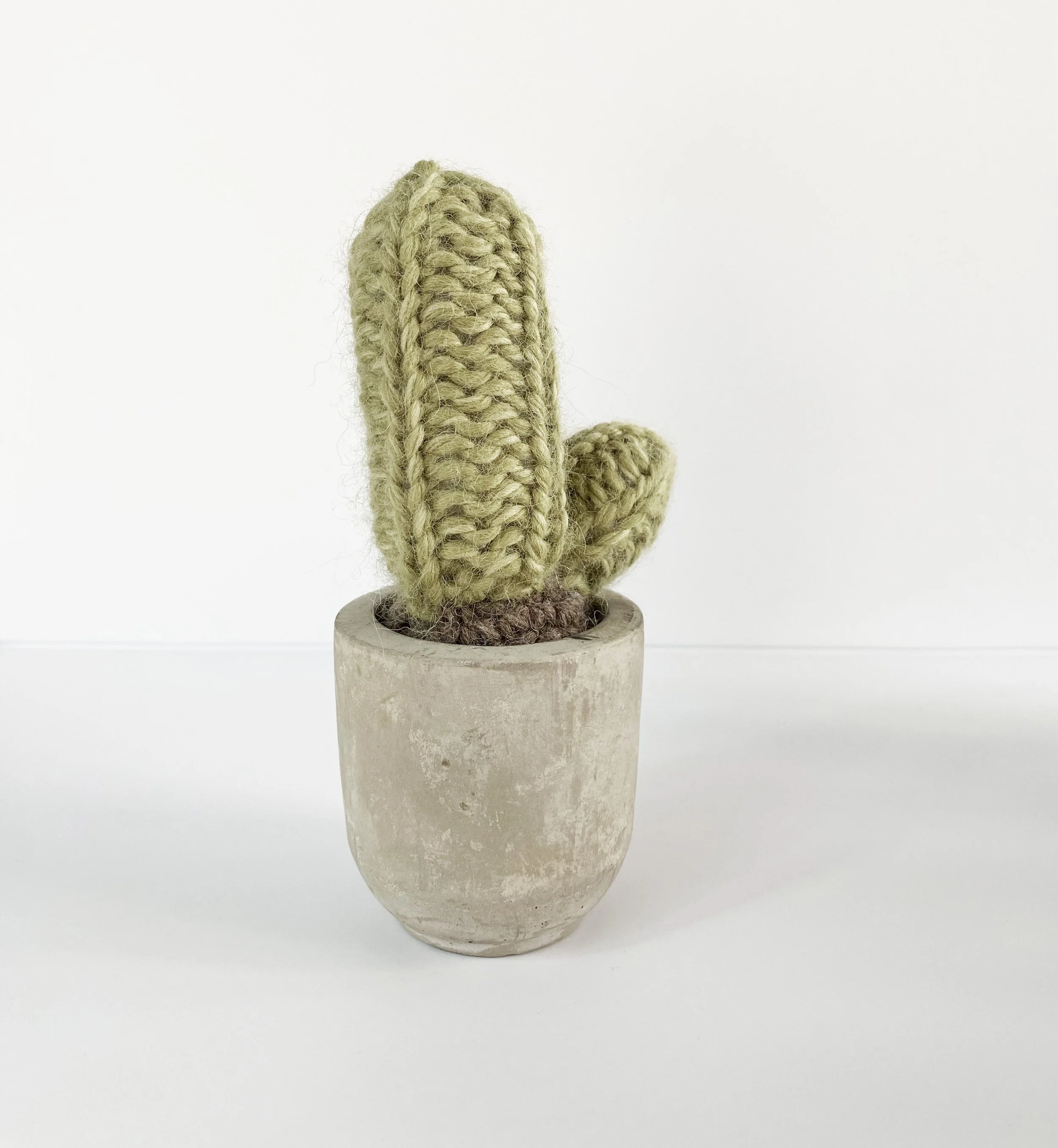 Mini Cactus 6.jpg