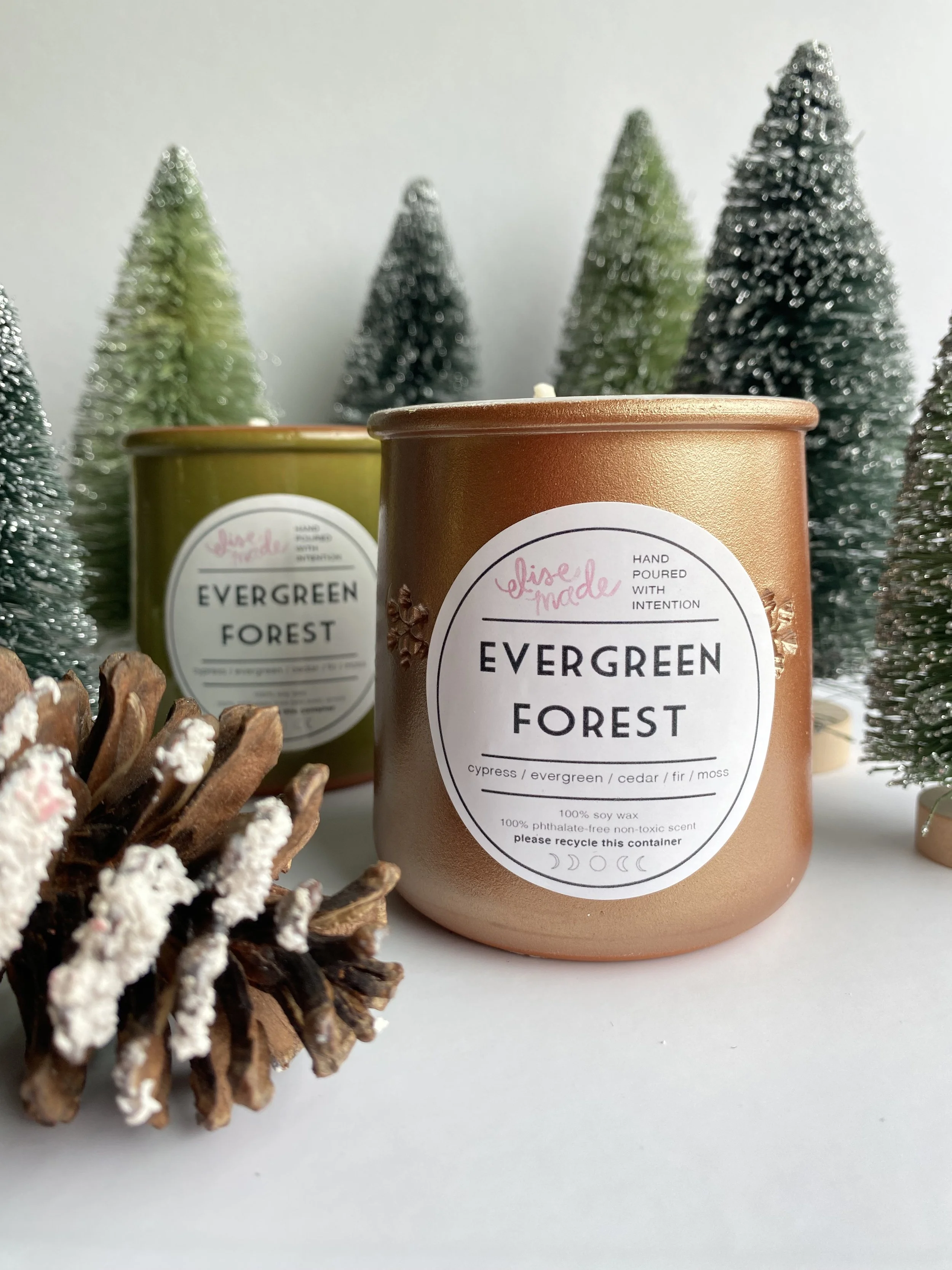 evergreen forest 3.jpg