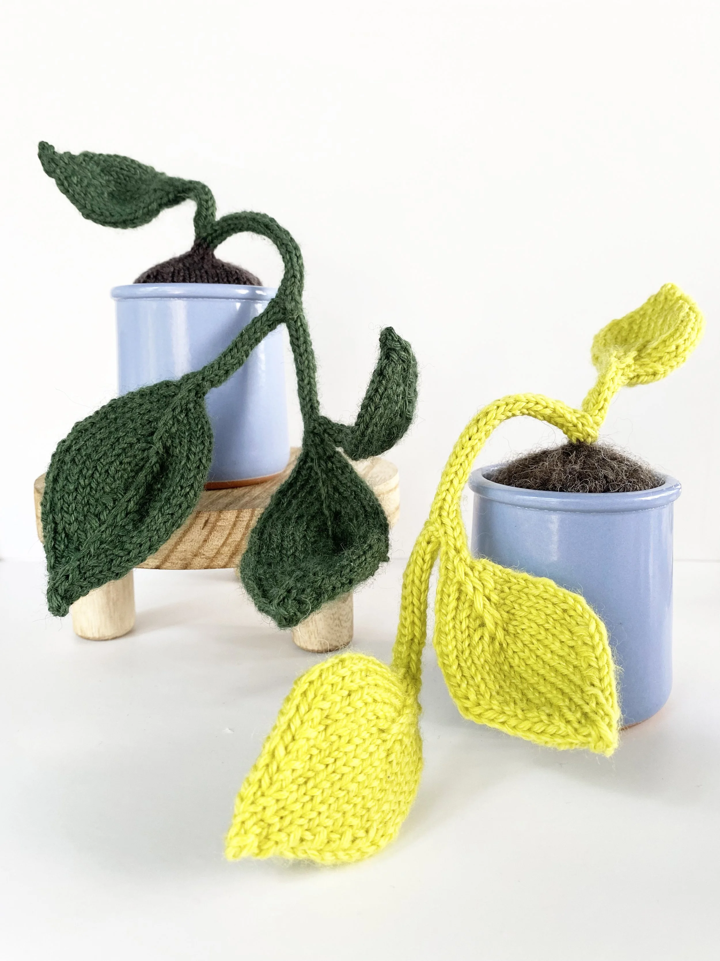 small pothos 1.jpg