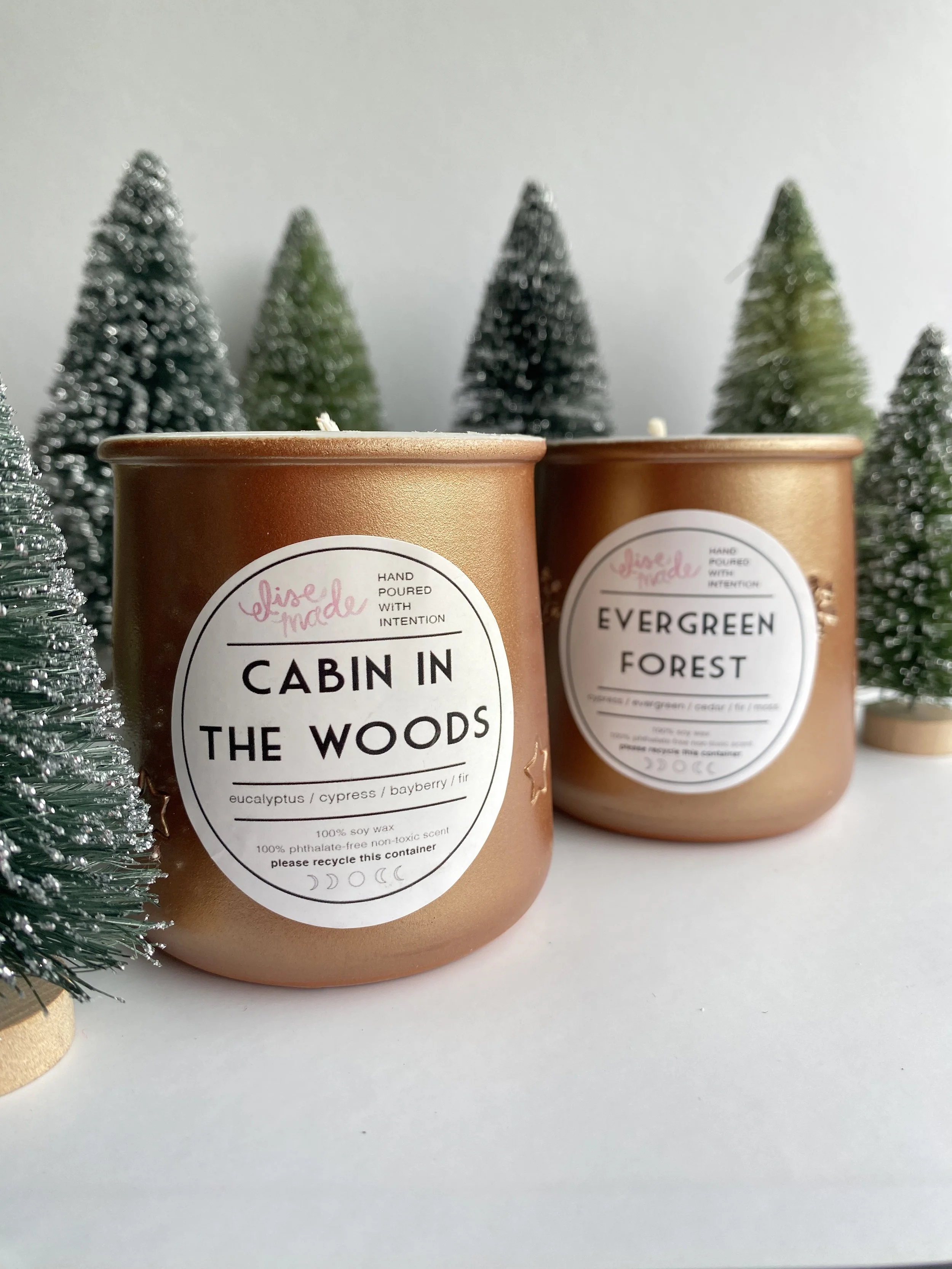 cabin in the woods.jpg