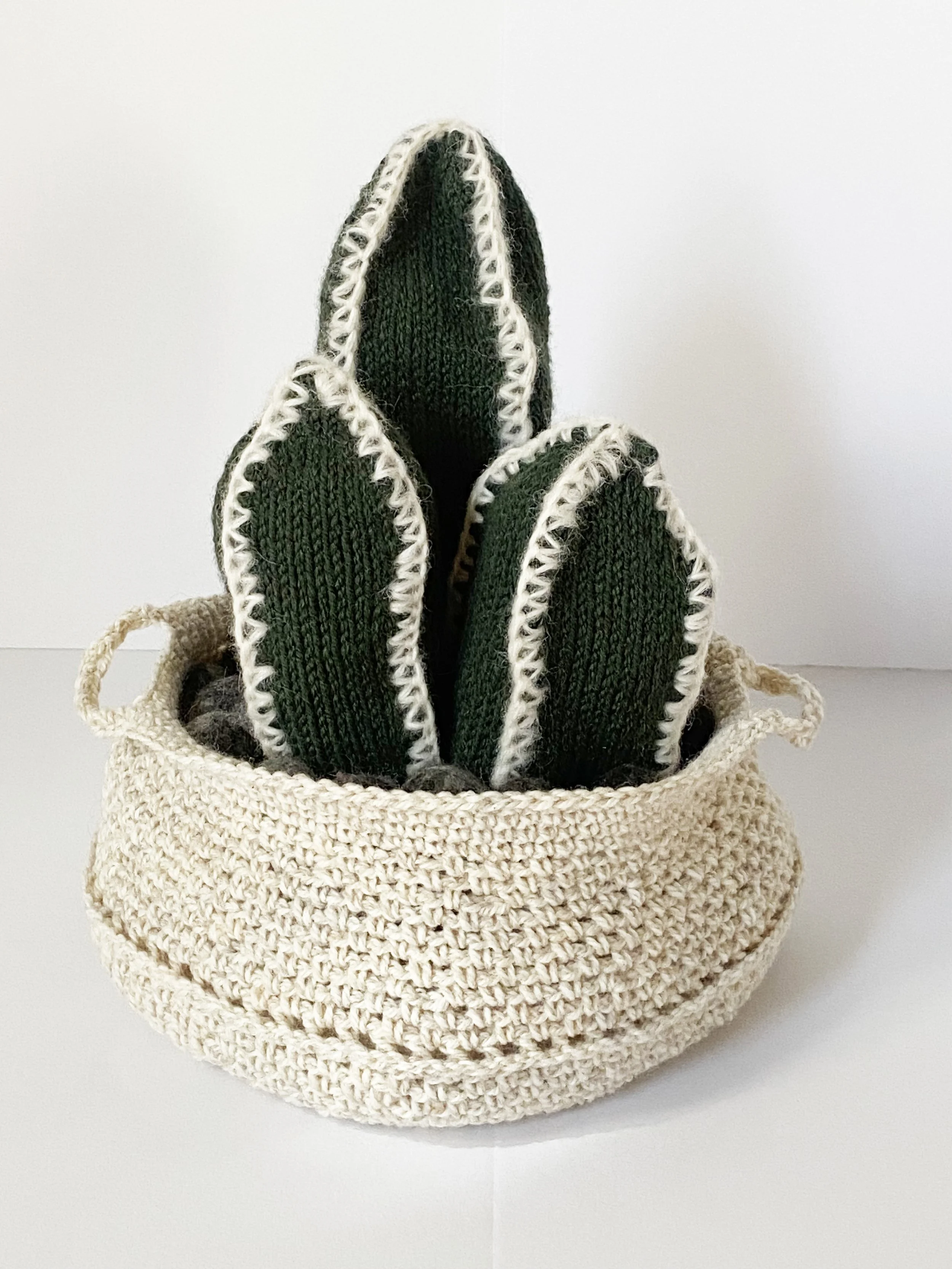 Cactus Arrangement 4.jpg