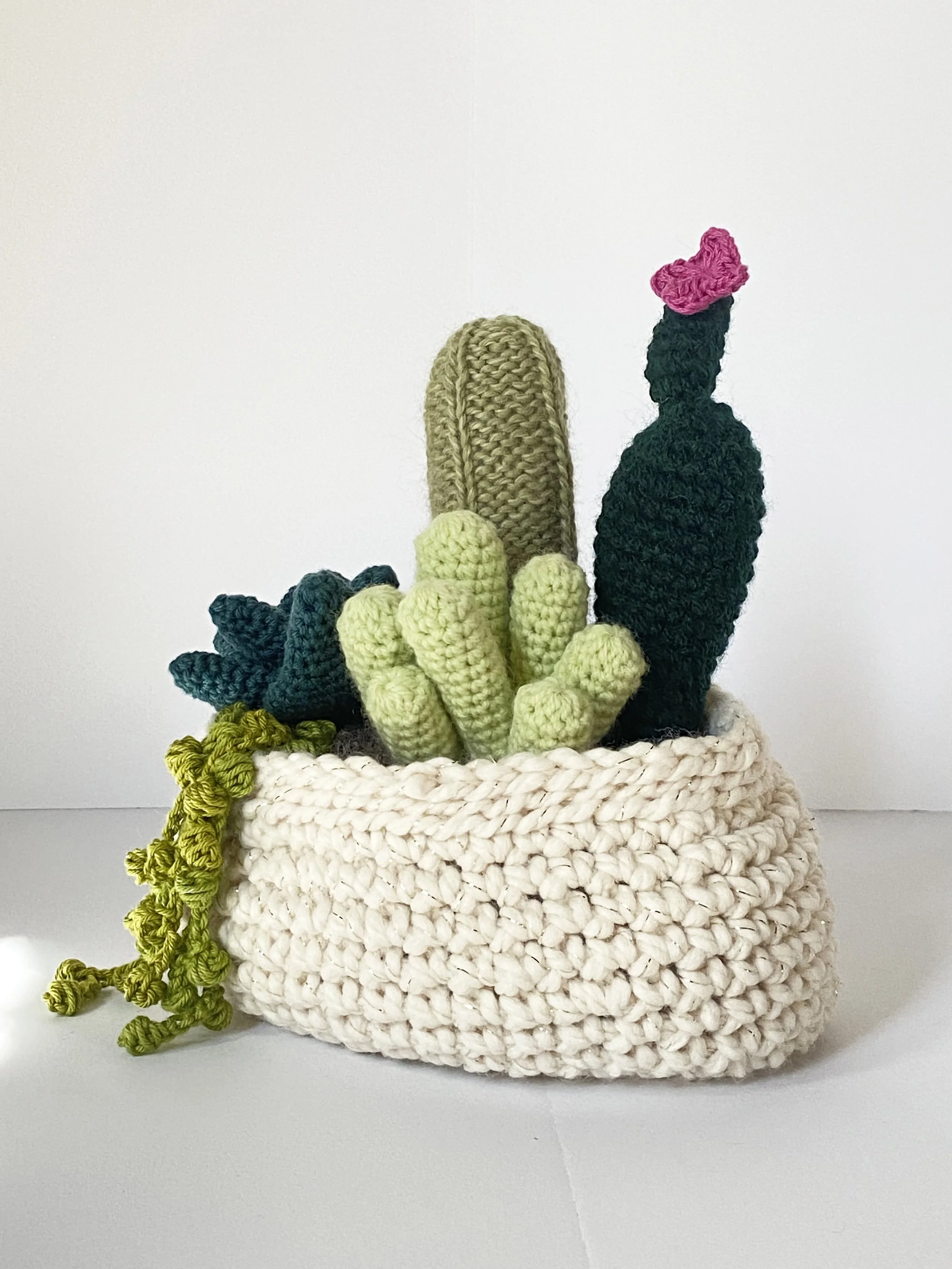 Succulent Arrangement MD 2.jpg