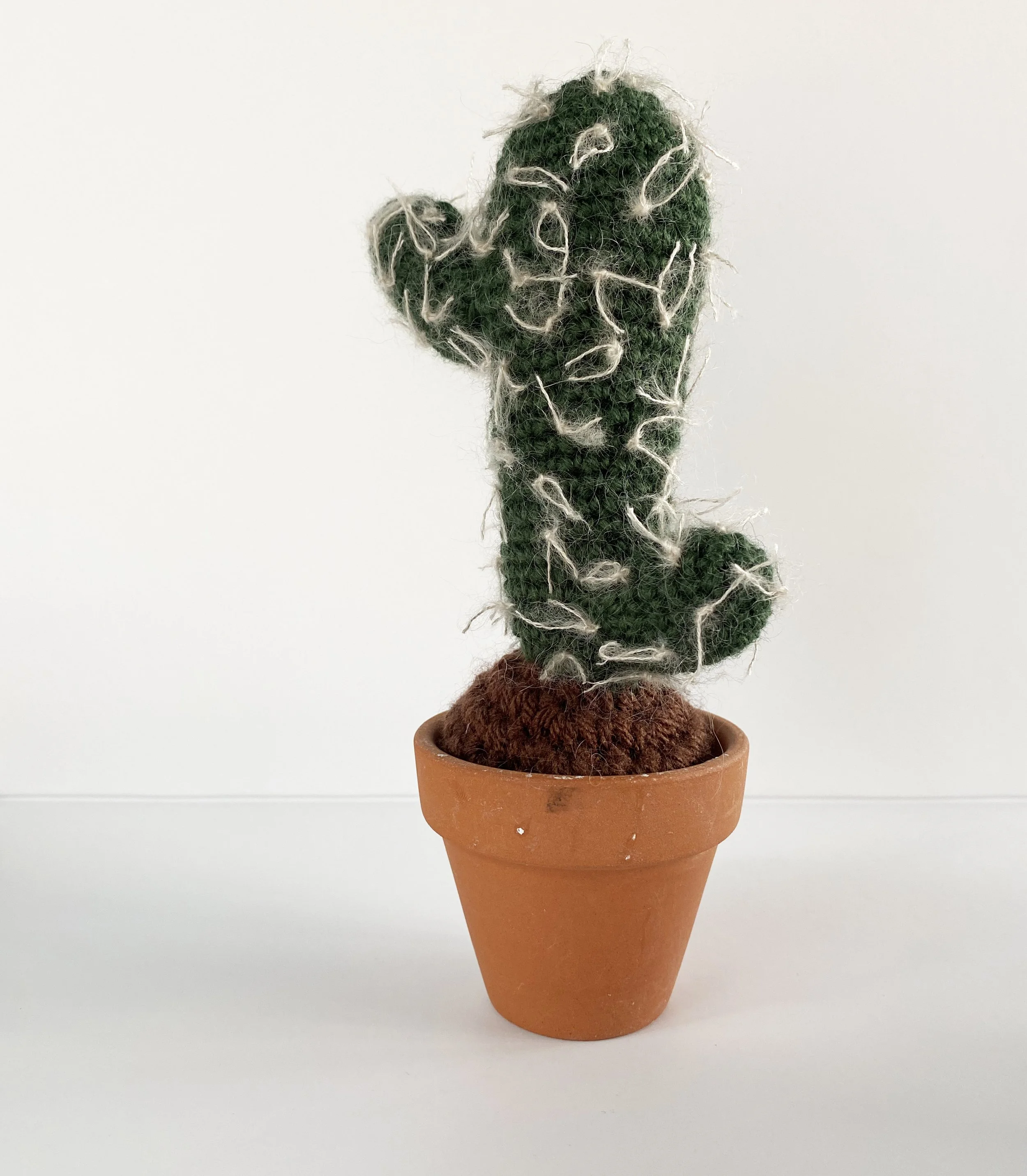 Mini Cactus 8.jpg