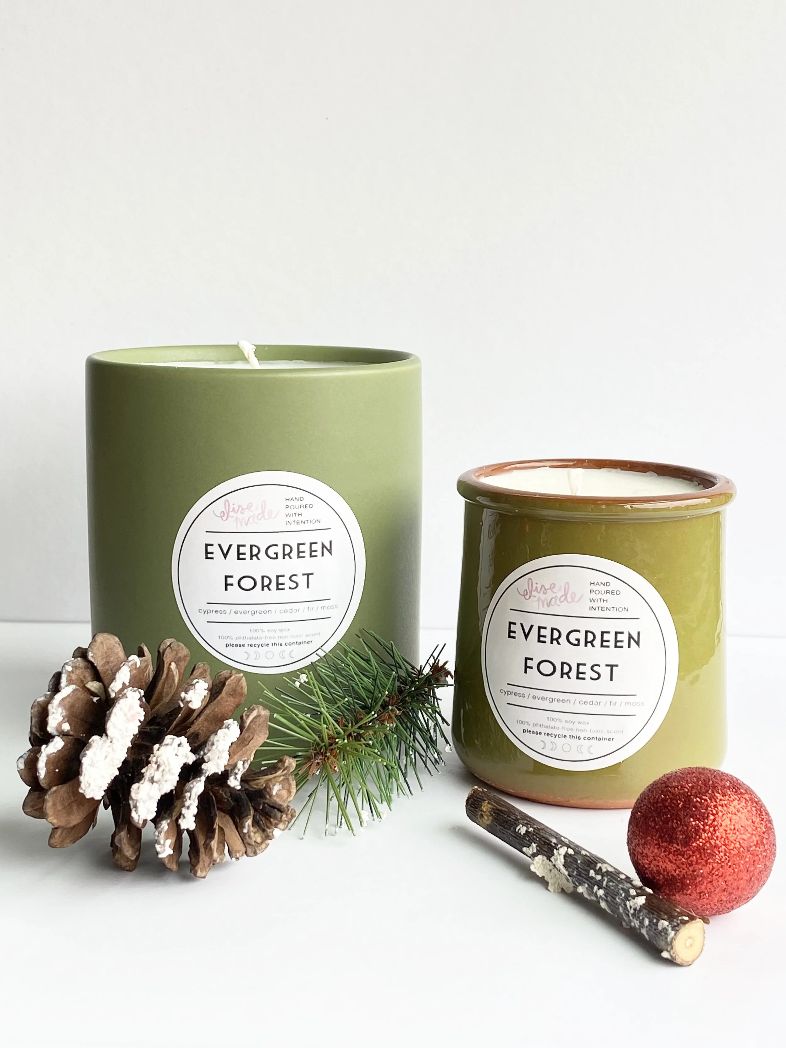 Evergreen Forest