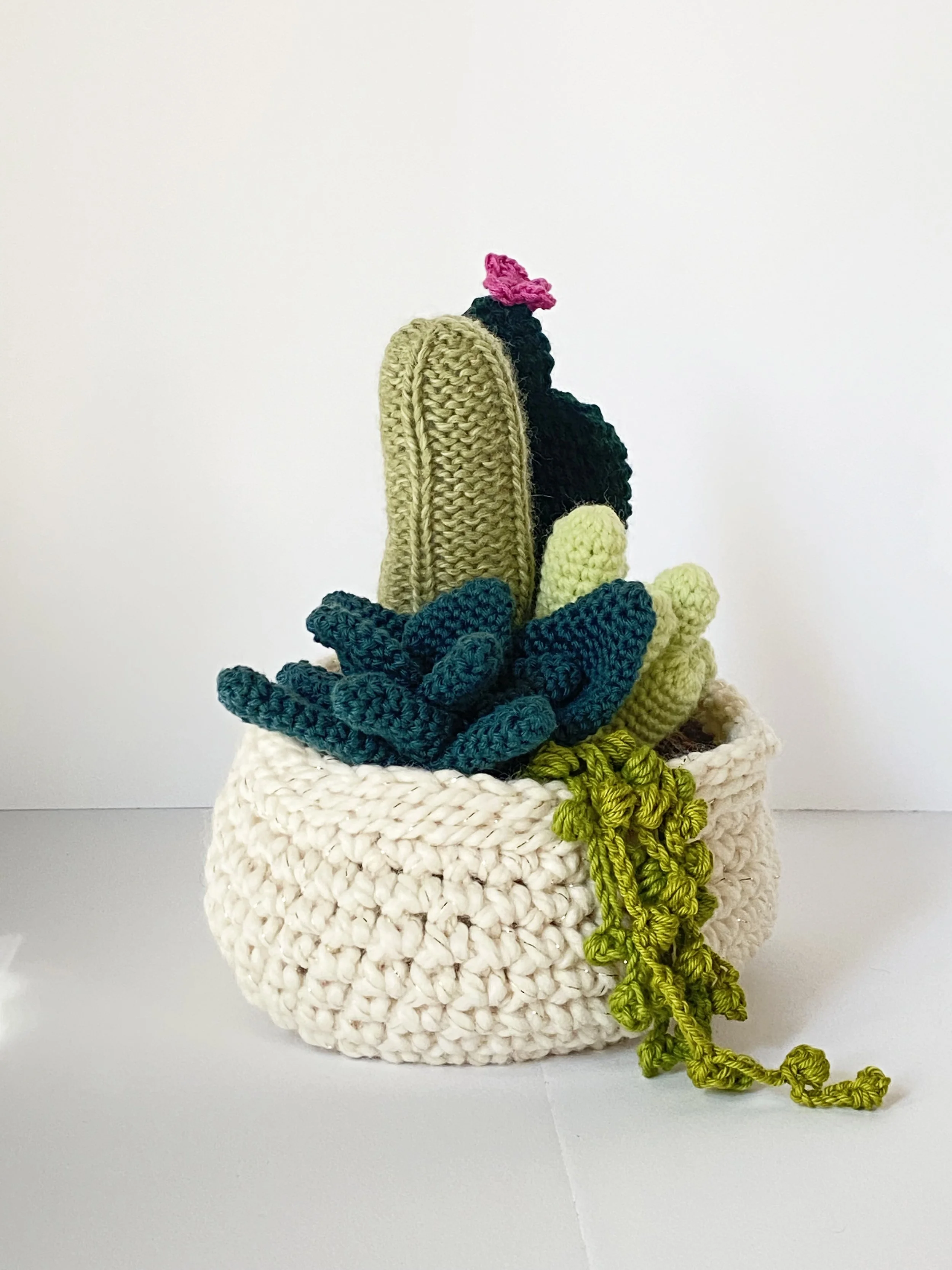 Succulent Arrangement MD 1.jpg