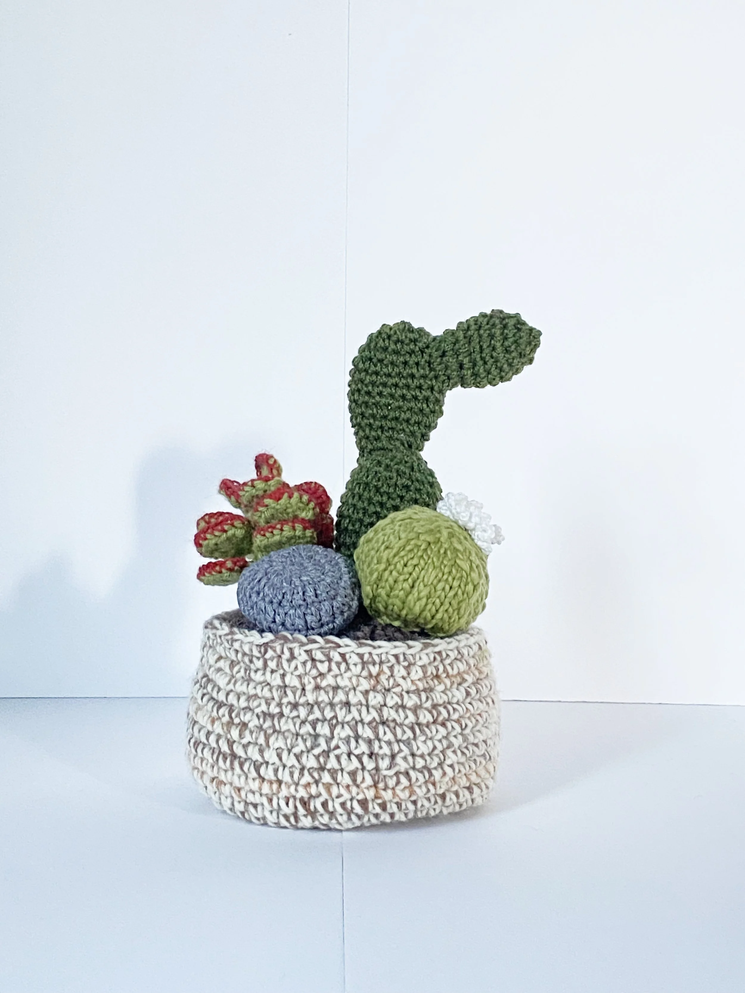 Succulent Arrangement SM 1.jpg