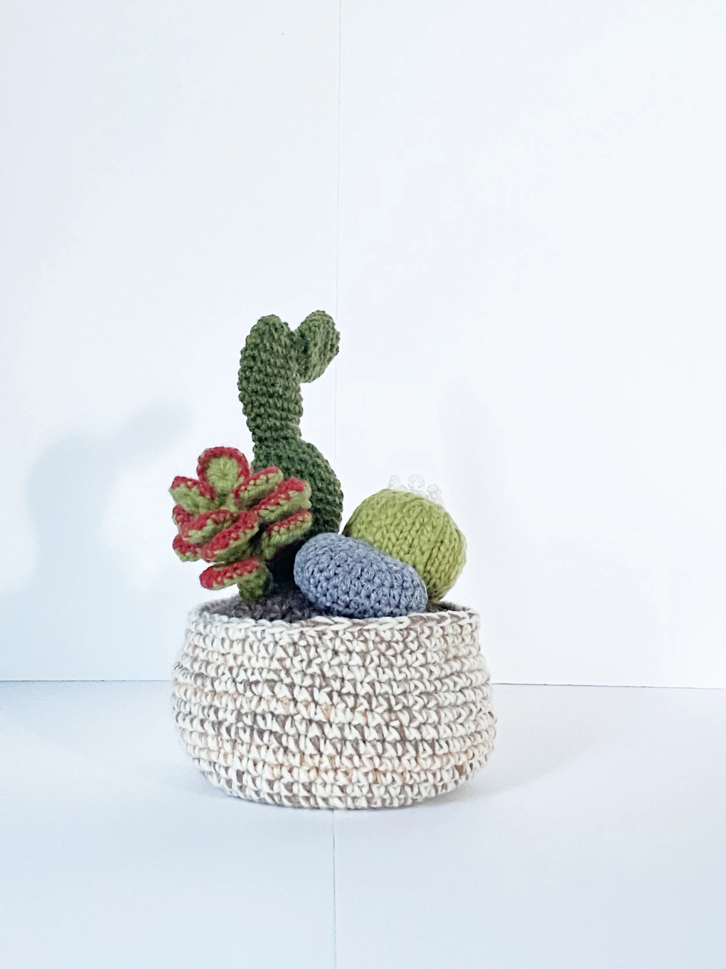 Succulent Arrangement SM 2.jpg