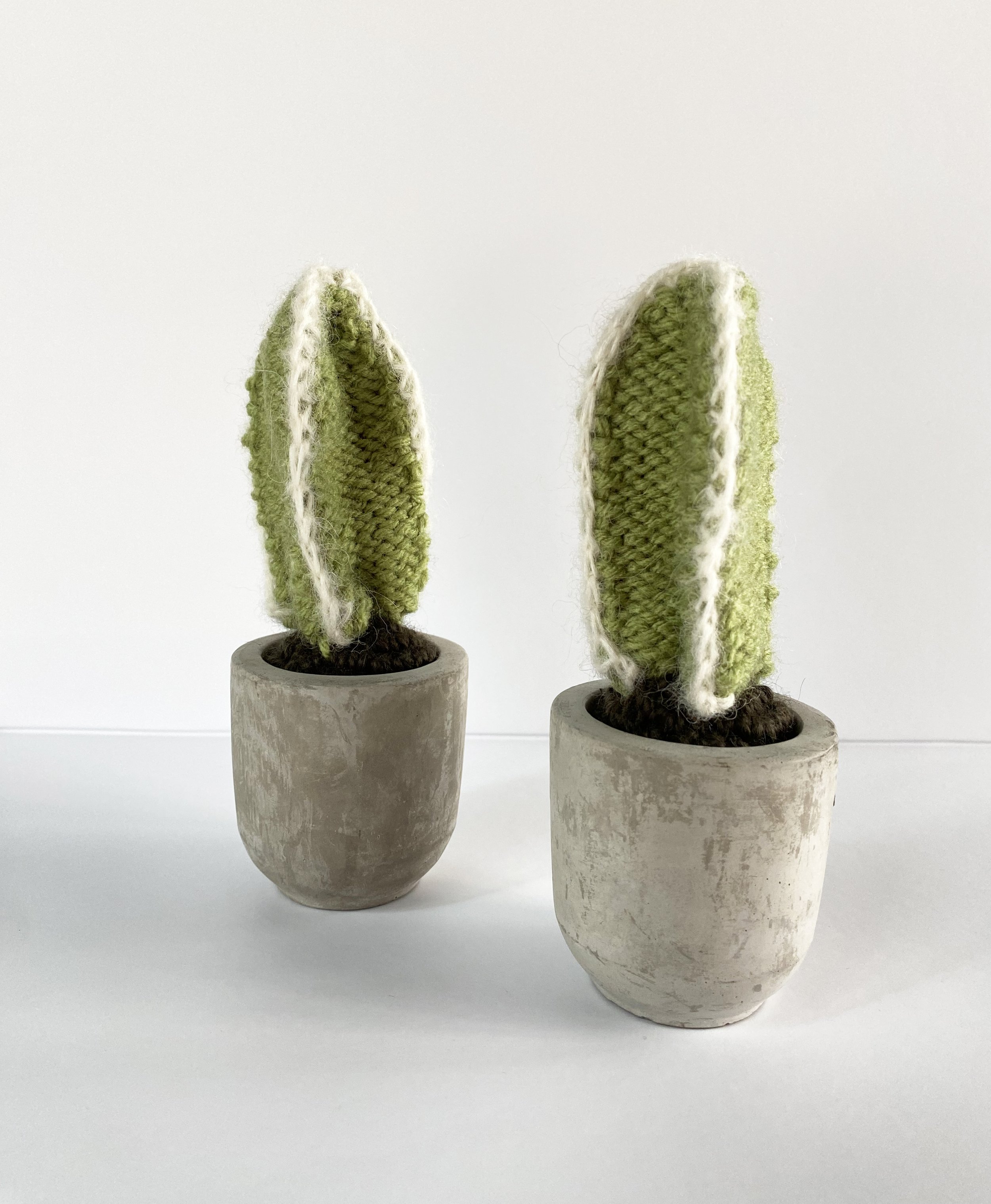 Small Knit Wooly Rhino Cactus