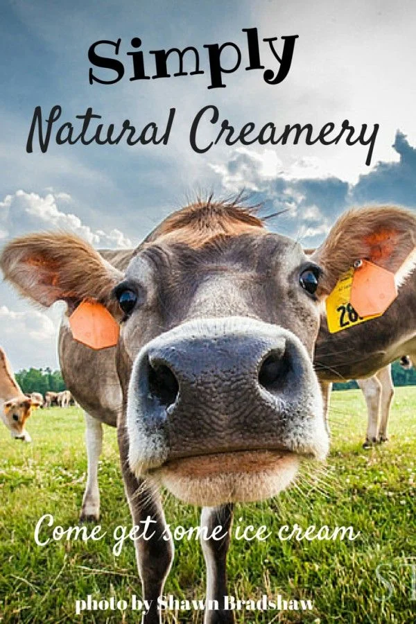COW CREAMERY.jpg