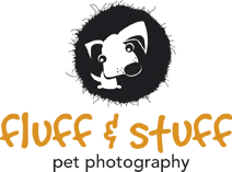 Fluff and Stuff Pet Photography