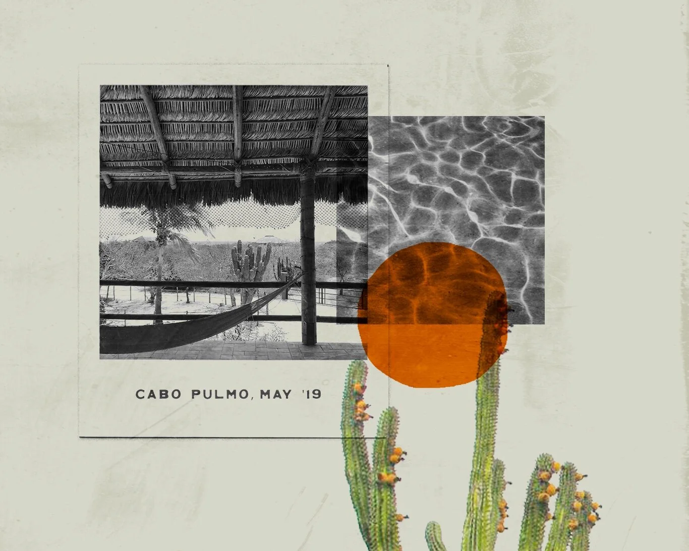 Baja-CollageArtboard-2.jpg