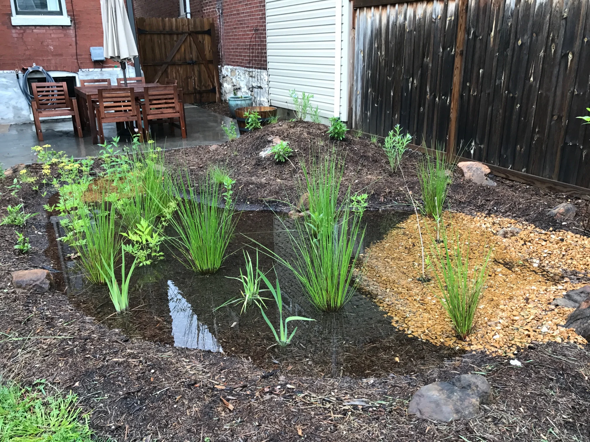 Amanda and Mark Rain Garden 2.jpg