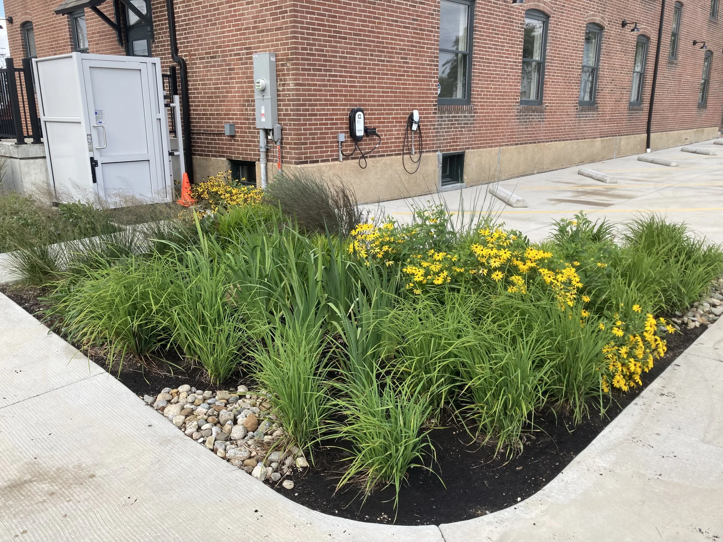 9  - September  (13.5).JPG