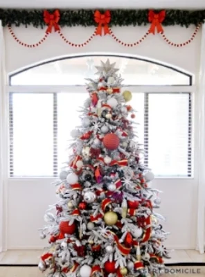 DDtree.jpg