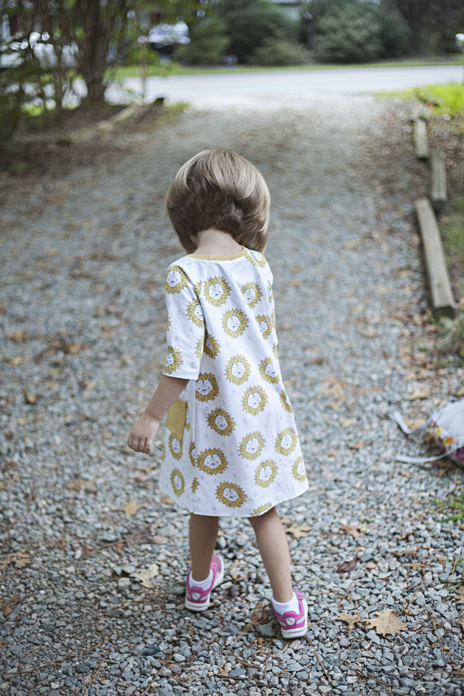 aslan-dress8.jpg