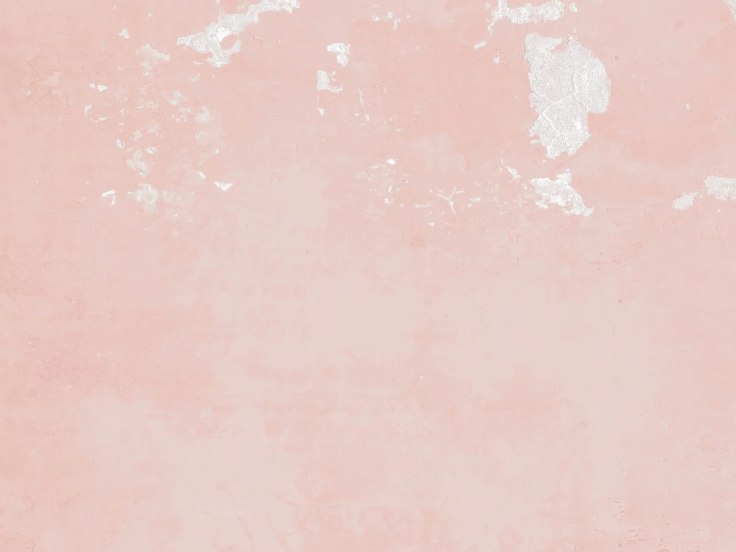 Pink Logo Image.jpg