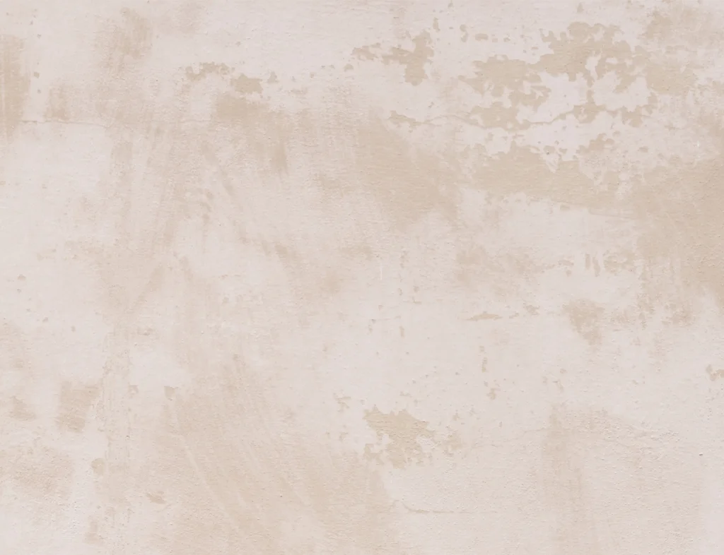 backgroundpp.jpg