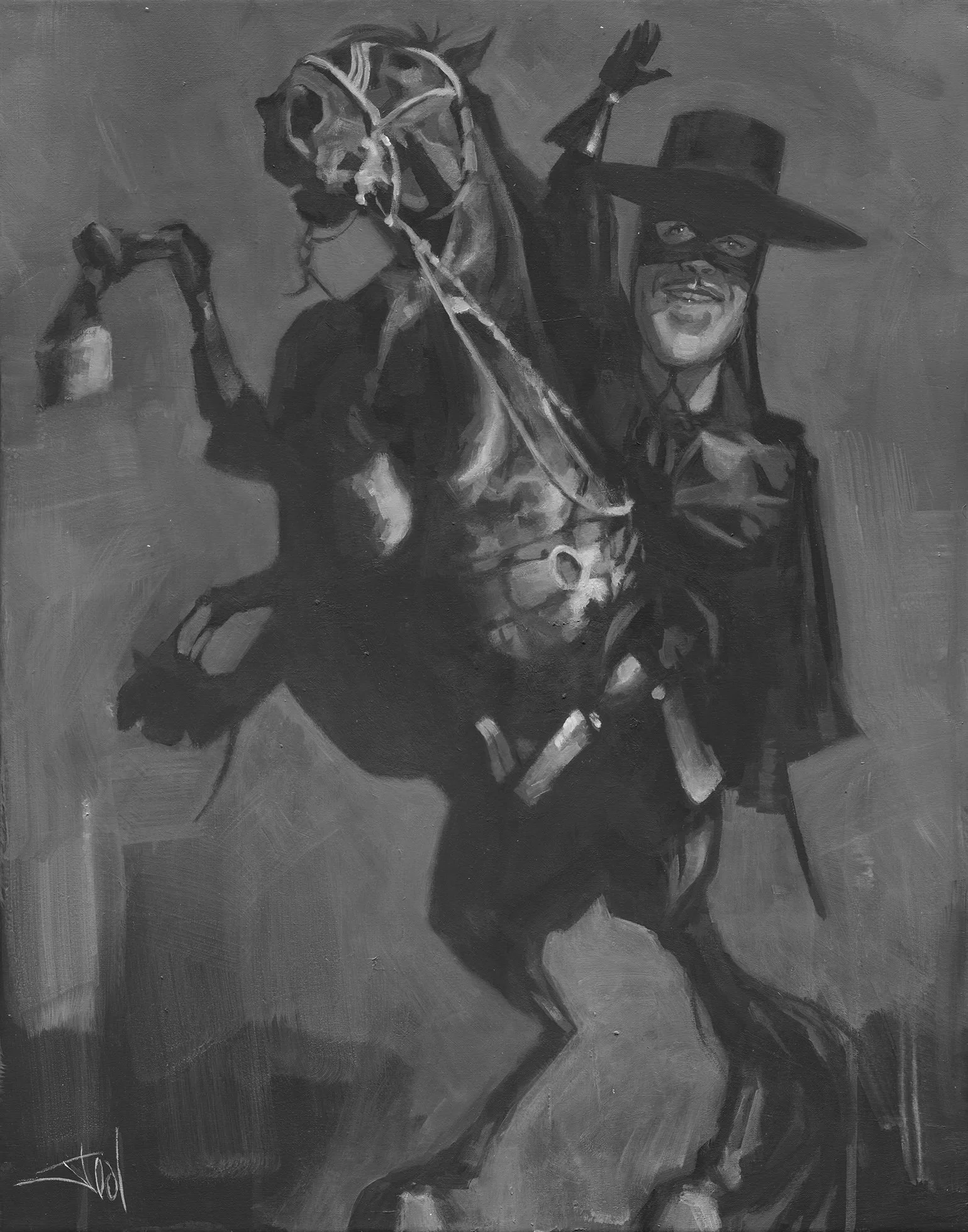 zorro 16by24.jpg