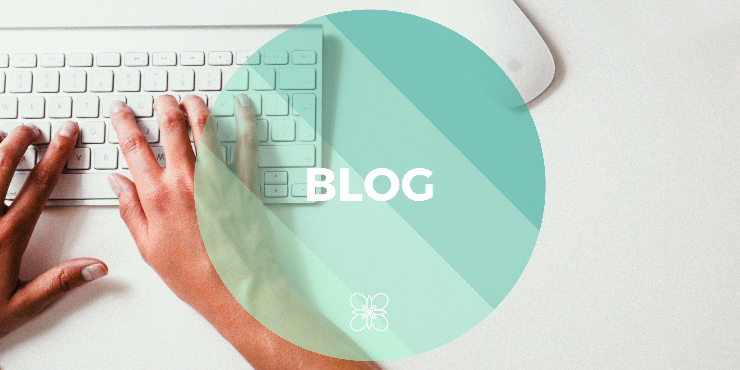 Blog banner.png