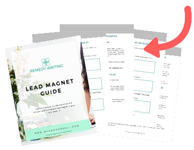 Download Lead Magnet Workbook Margo Carroll
