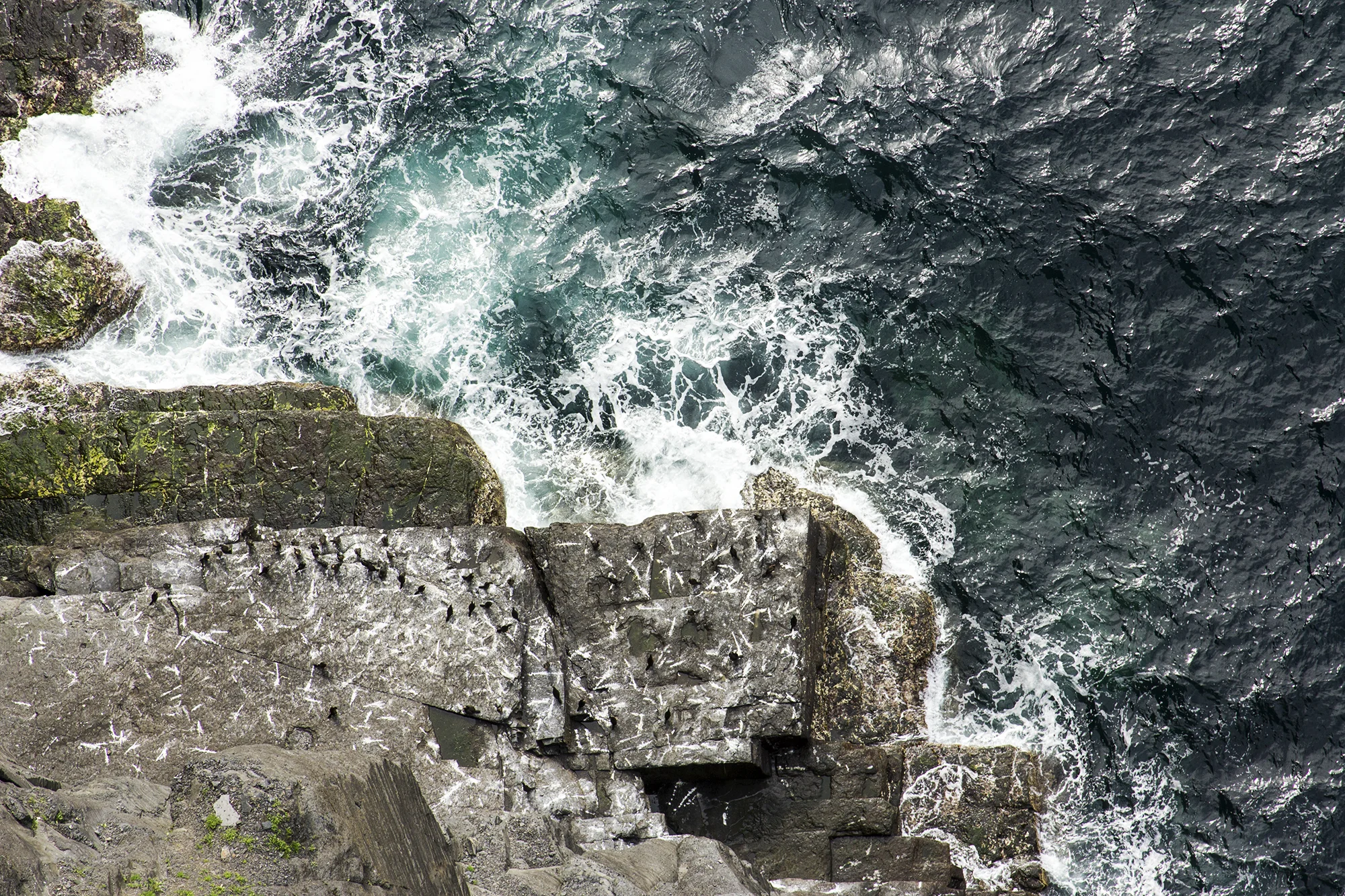 Cliffs-of-Moher-Puffin-Colony.jpg