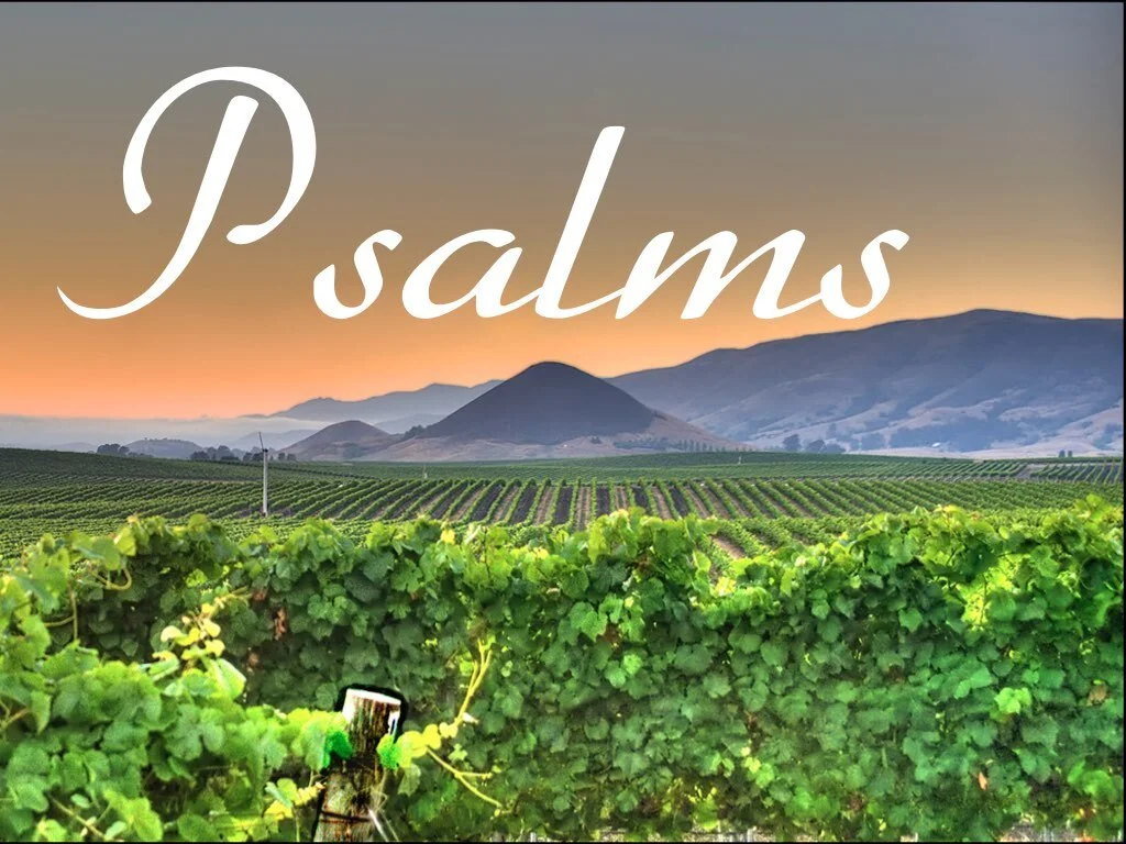 Sunday Gathering, Psalm 70-71, 5.17.20