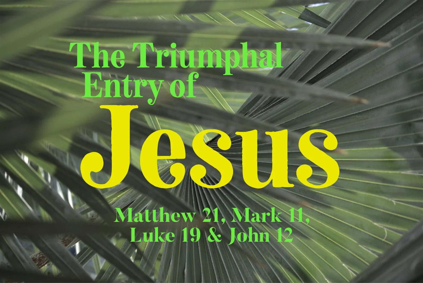 Sunday Gathering, Triumphant Entry, 3-28-2