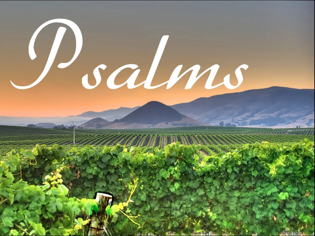 Sunday Gathering, Psalms 127-128, 8/8/21