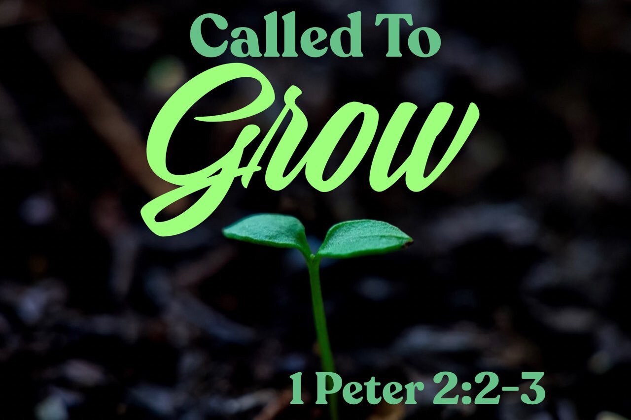 Sunday Gathering, 1 Peter 2:2 - 3, 9/19/21