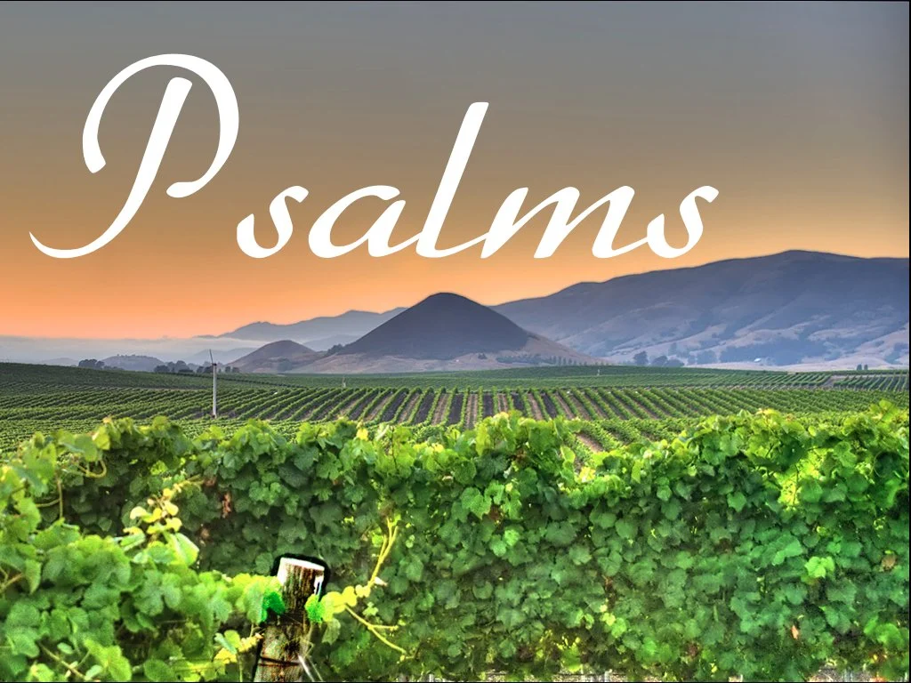 Sunday Gathering, Psalms 145-147, 11/28/21