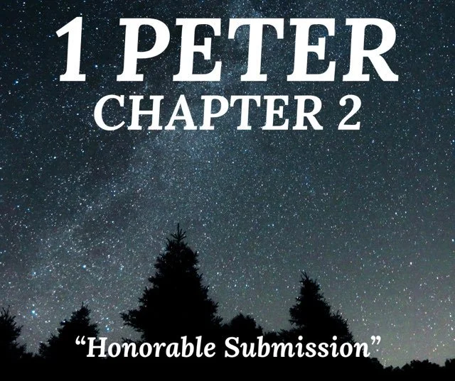 Wednesday Gathering, 1 Peter 2, 1/26/22