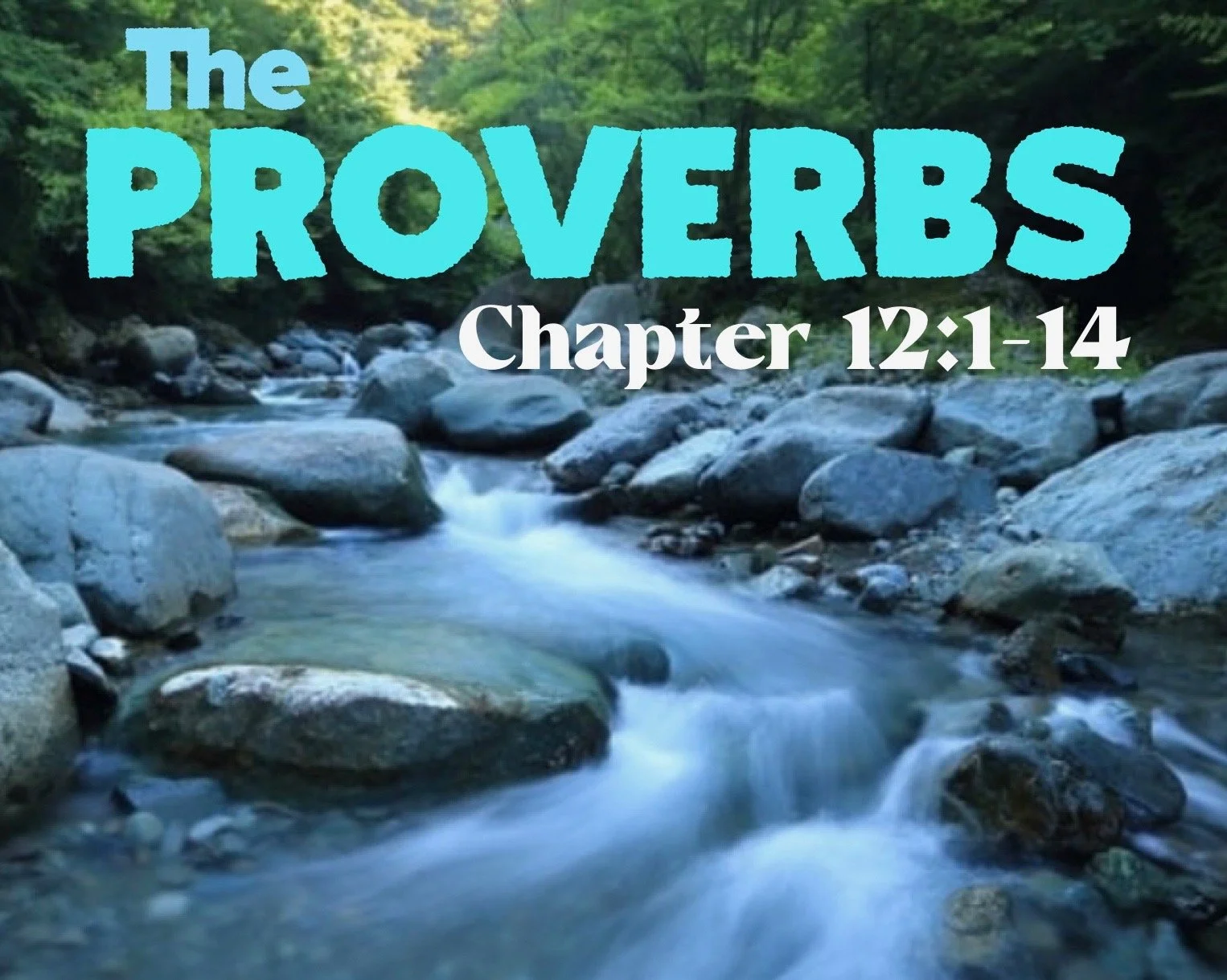 Wednesday Gathering, Proverbs 12:1-14, 10/19/22