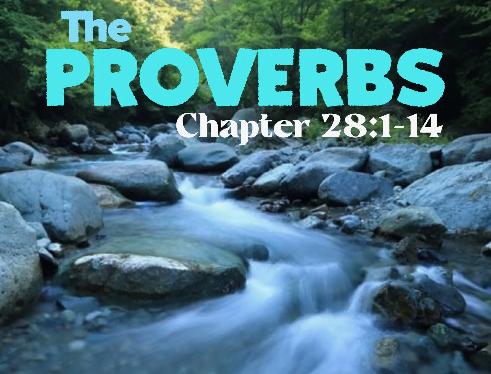 Wednesday Gathering, Proverbs 28:1-14, 10/25/23