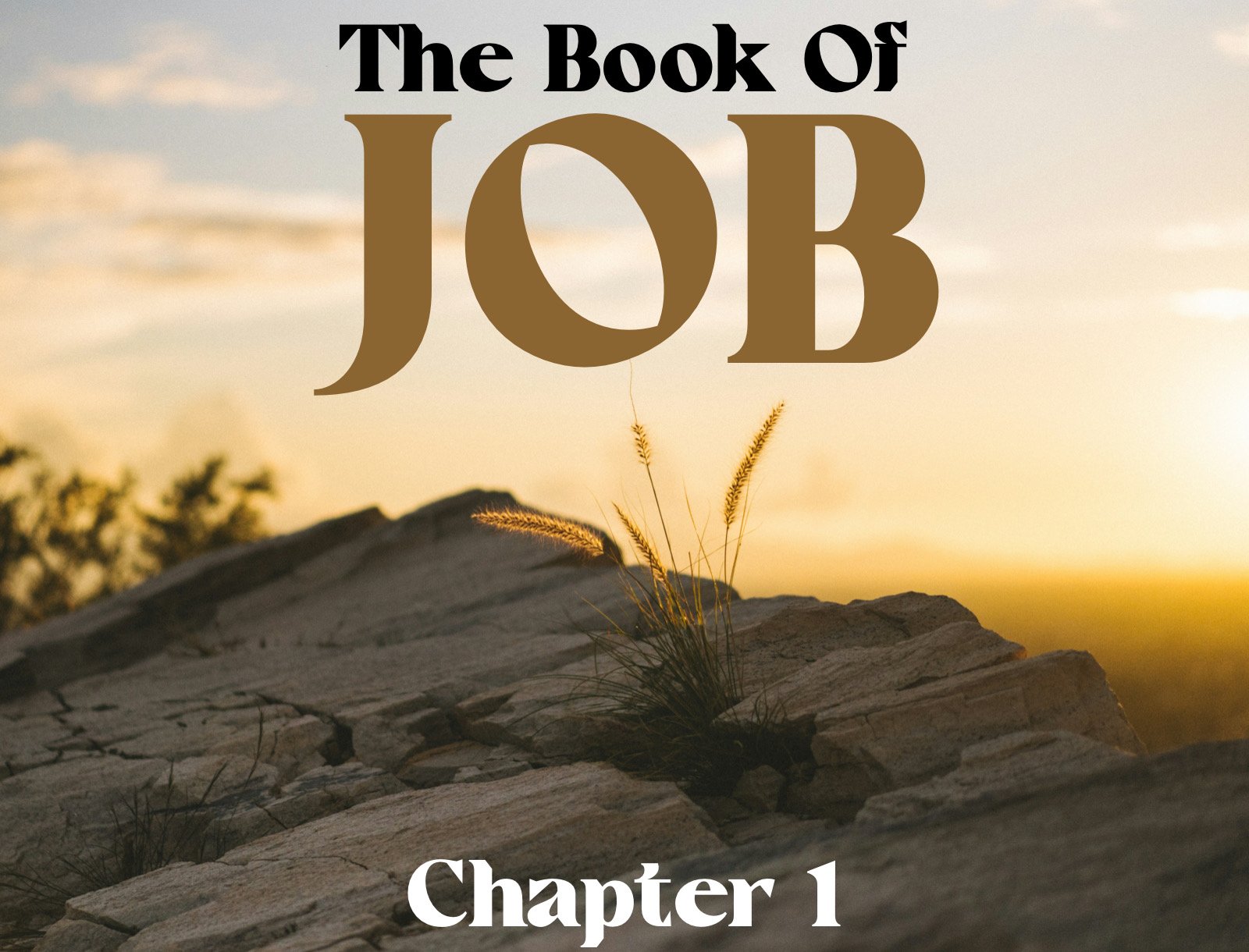 Wednesday Gathering, 1-31-24, Job 1