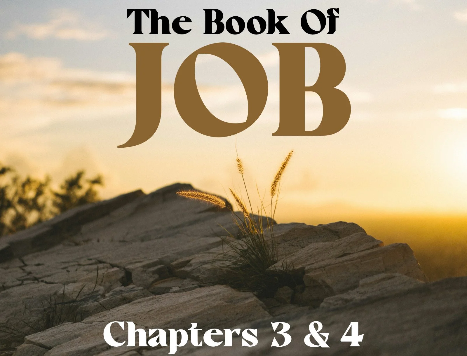 Wednesday Gathering, 2/14/24, Job 3&amp;4