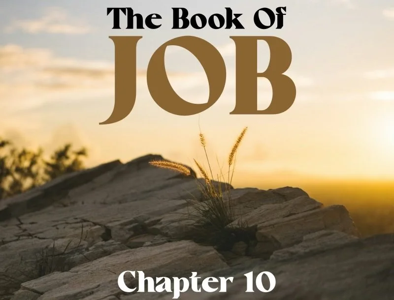 Wednesday Gathering, Job 10, 3/13/24