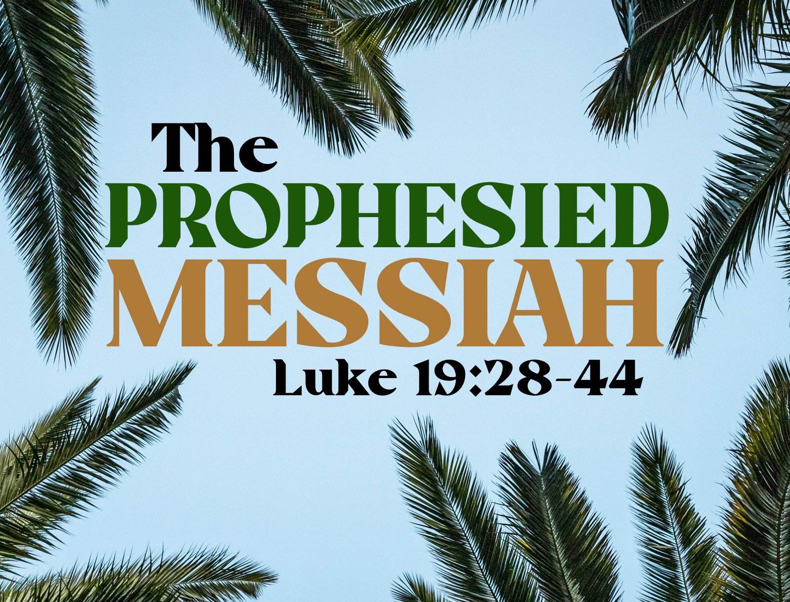 Sunday Gathering, 3/24/24, Luke 19:28-44 "The Prophesied Messiah"