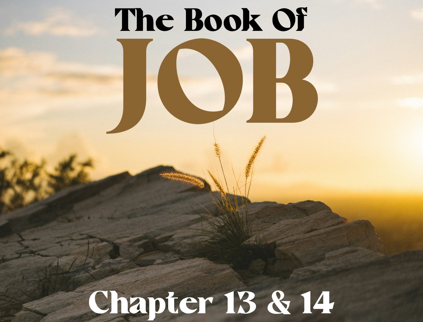Wednesday Gathering, 4-17-24, Job Ch. 13 &amp; 14