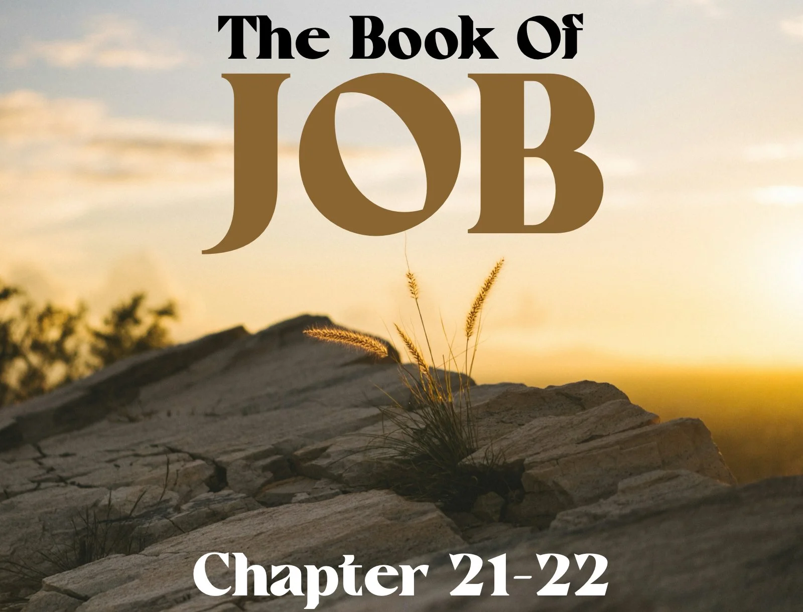 Wednesday Gathering, 05-15-24, Job Ch. 21 ~ 22