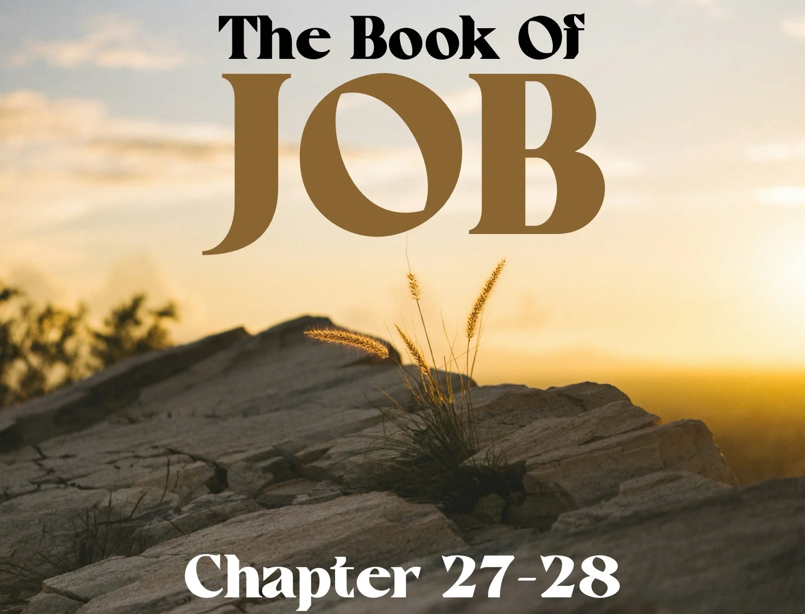 Wednesday Gathering, 6-5-24, Job 27~28