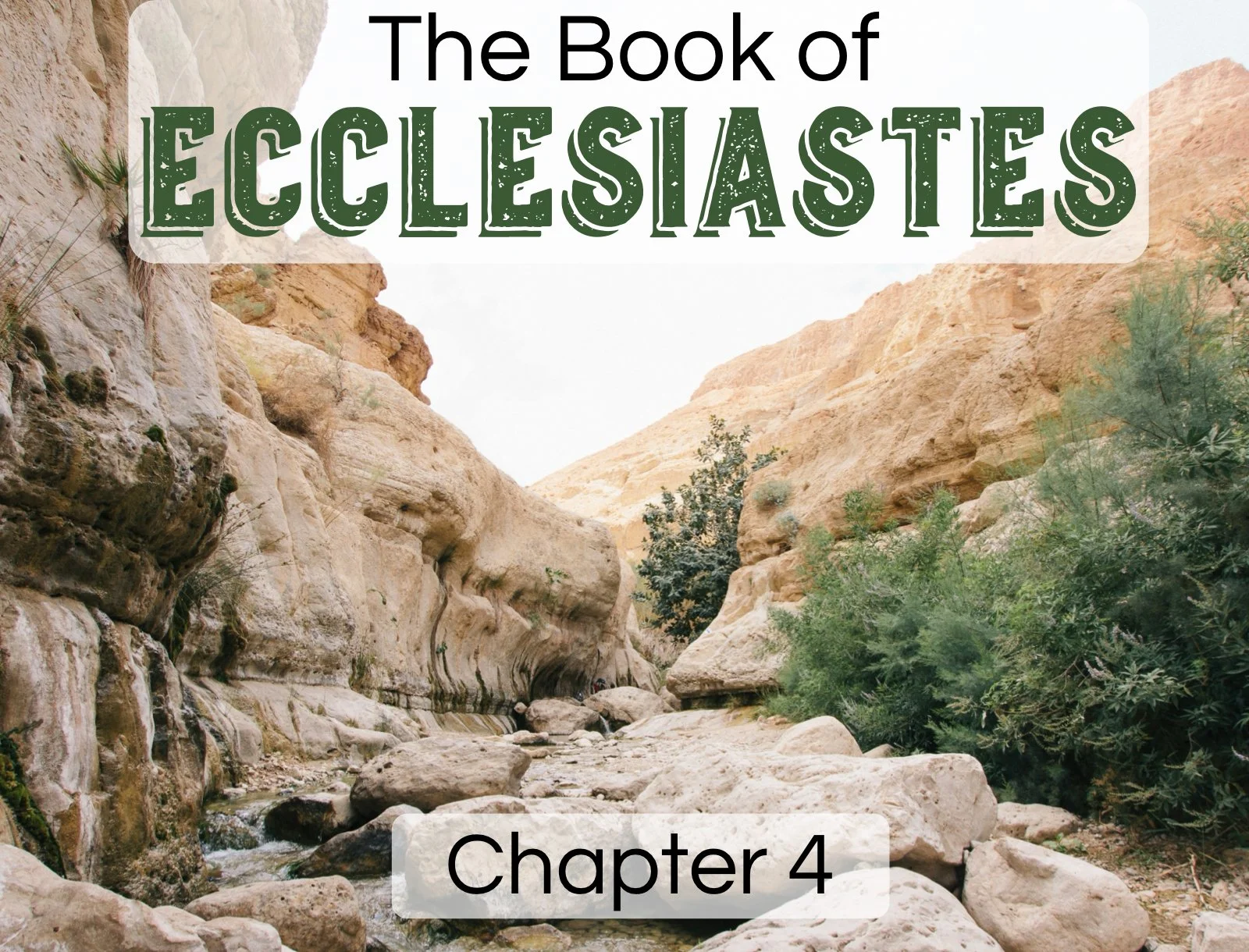 Wednesday Gathering, 11/13/2024, Ecclesiastes 4