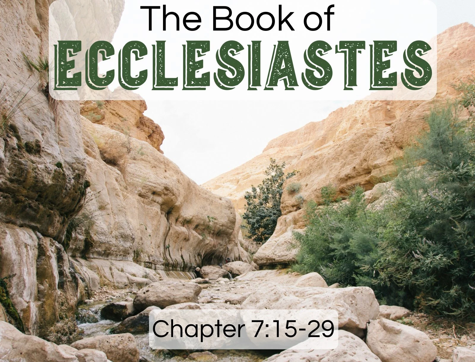 Wednesday Gathering, 1-29-25, Ecclesiastes 7:15~29