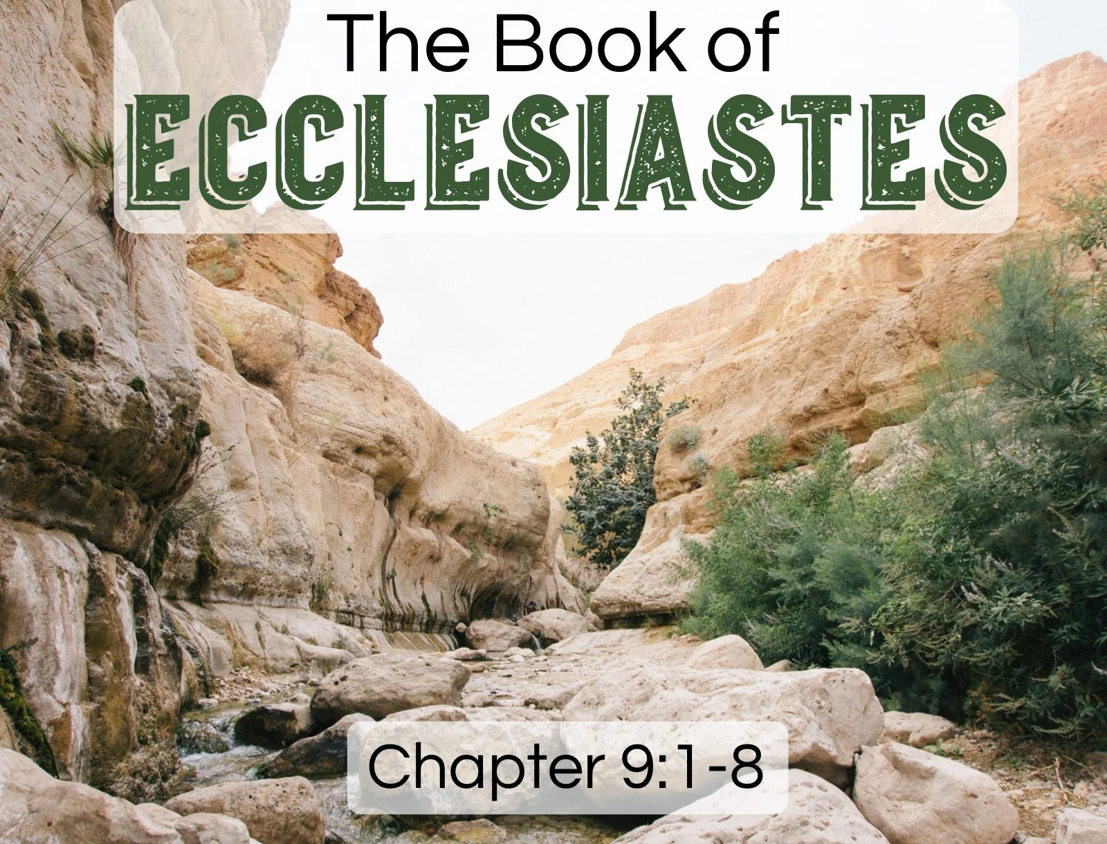 Wednesday Gathering, 4-2-25, Eccl 9 1-8