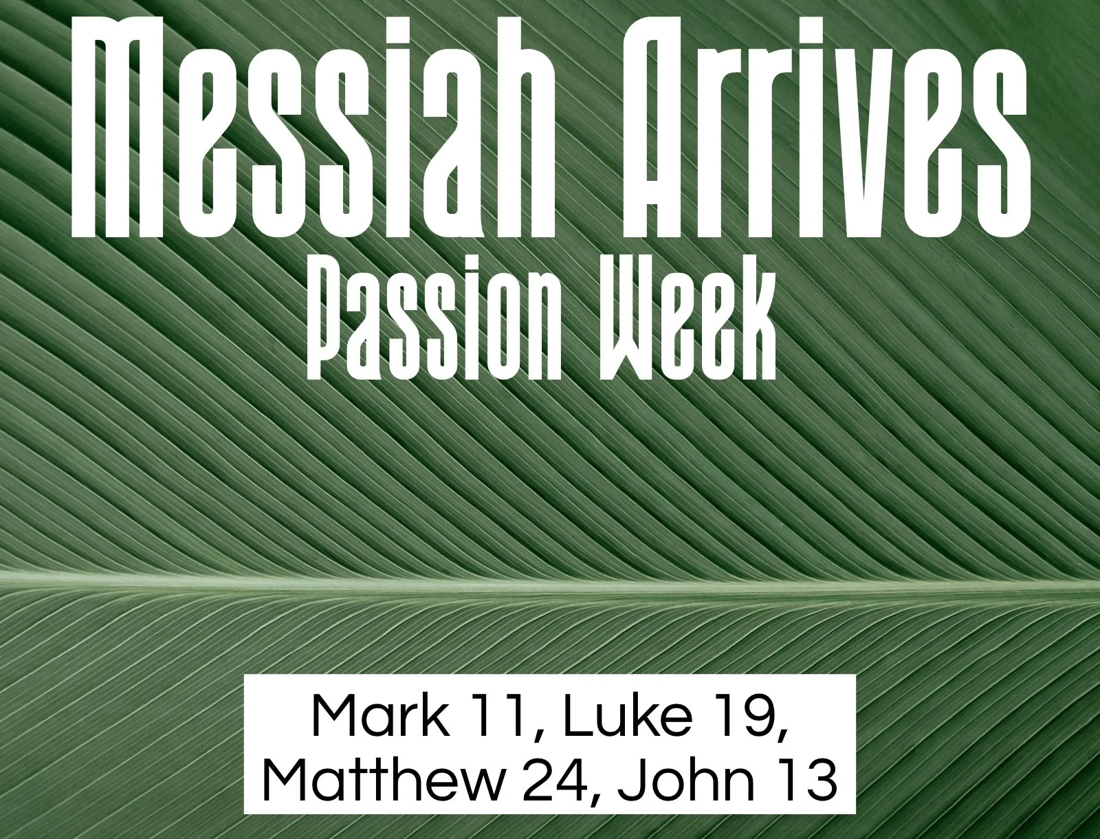 Sunday Gathering, 4/13/25, Mark 11- Luke 19- Matthew 24- John 13, Messiah Arrives (Passion Week)