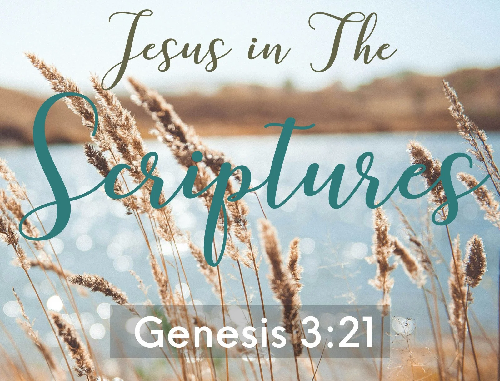 Wednesday Gathering, 7/23/25, Genesis 3:21