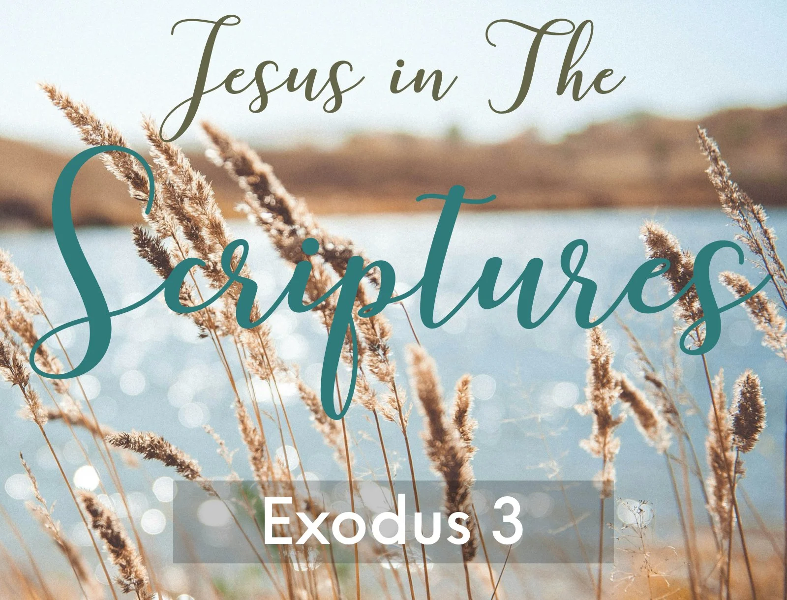 Wednesday Gathering, 10/1/25, Exodus 3, Jesus in the Scriptures