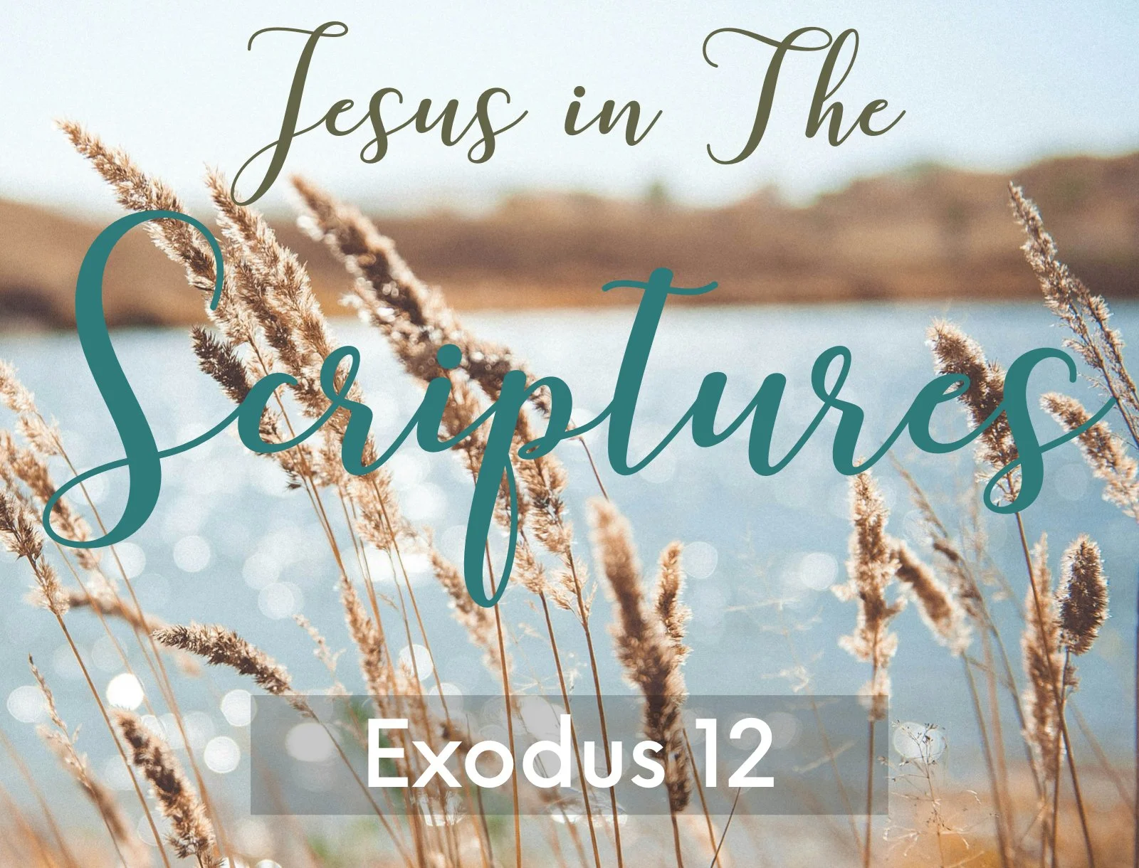 Wednesday Gathering, 10/15/25, Exodus 12 "Jesus in the Scripture"