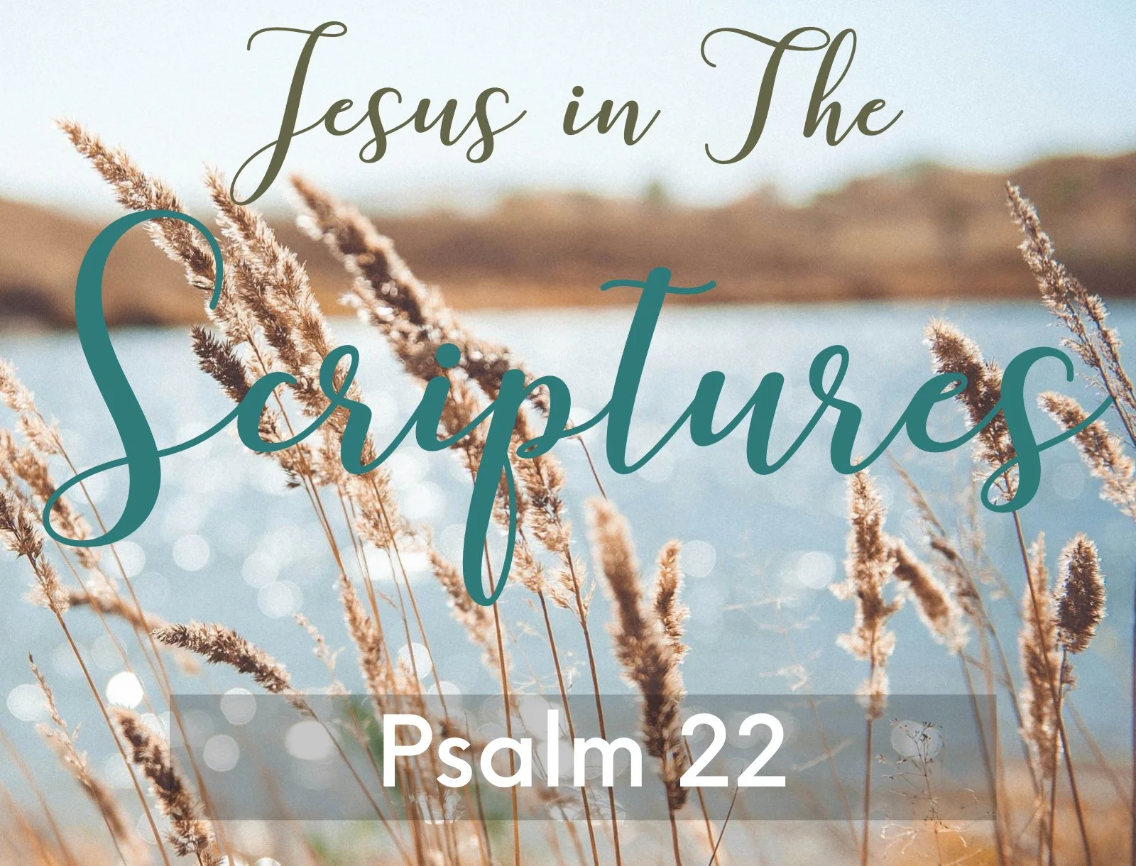 Wednesday Night Gathering, 03-25-26, Psalm 22, "Jesus in the Scriptures"