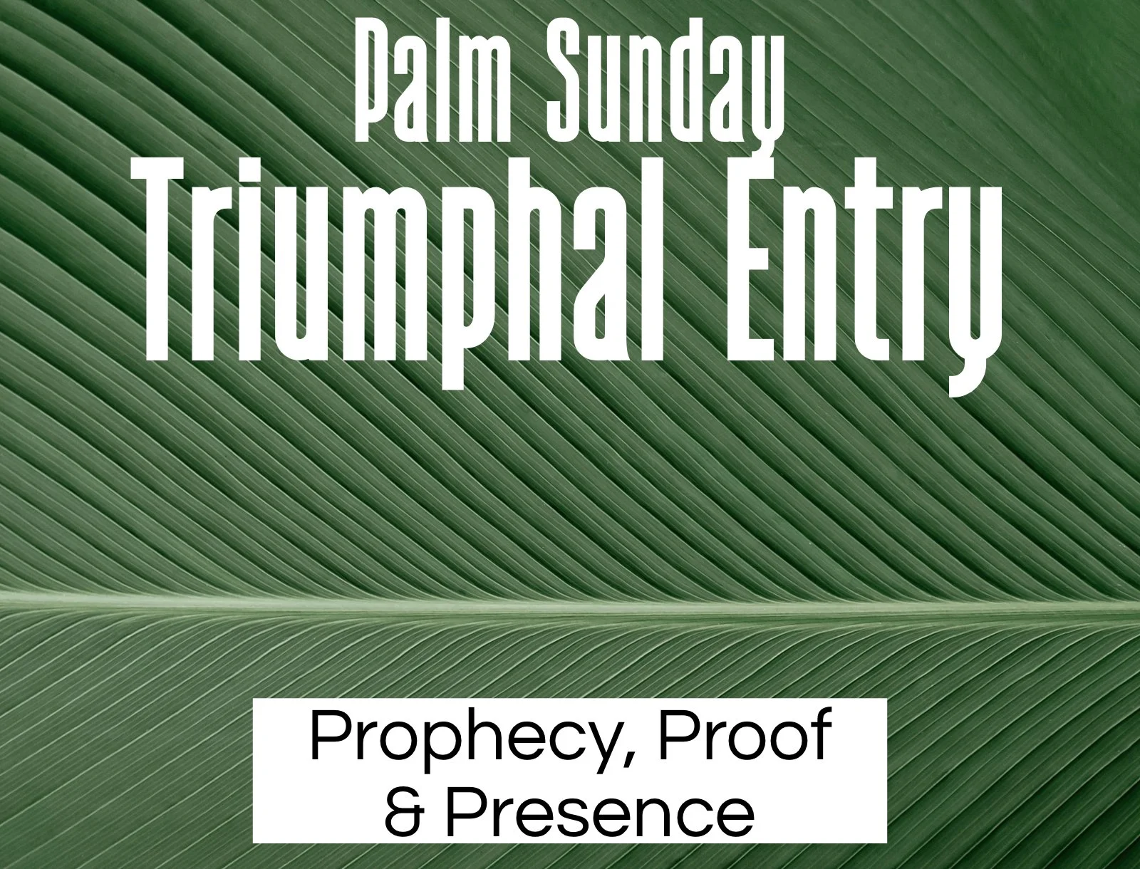 Sunday Gathering, 032926, Palm Sunday, Triumphal Entry, "Prophecy, Proof &amp; Presence"