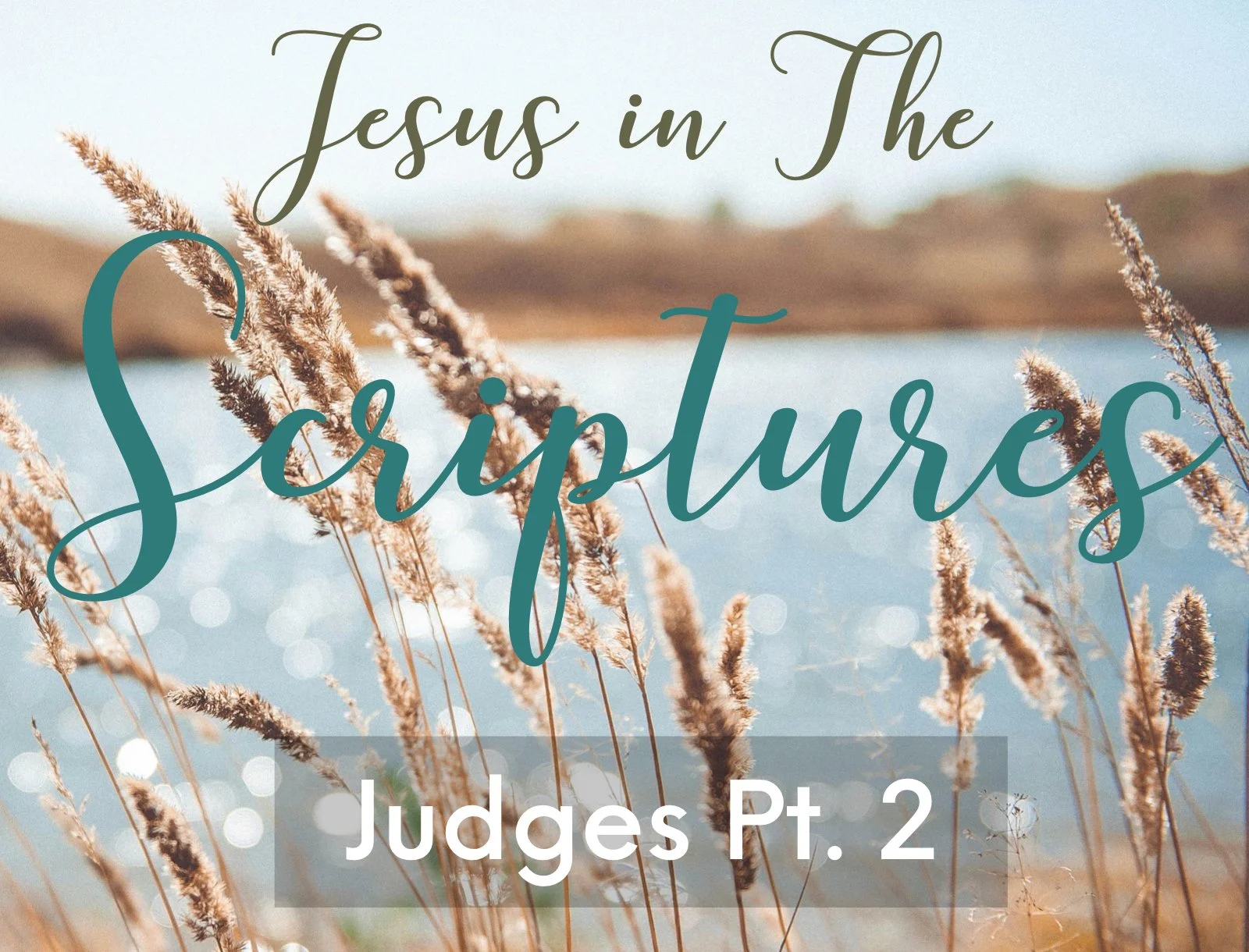 Wednesday Gathering, Jesus in the Scriptures, 4/15/2026